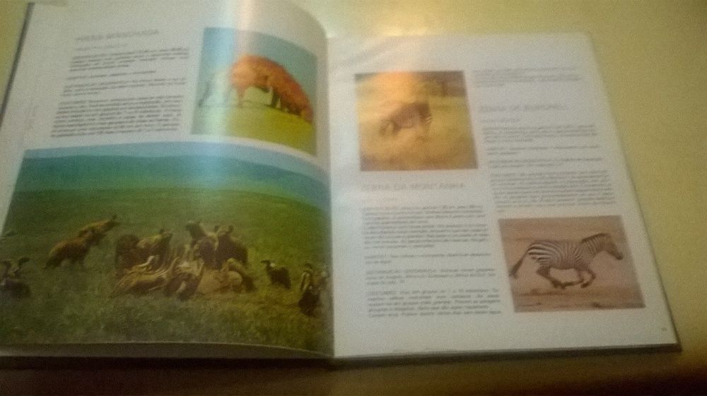 Safari Cor - Mamíferos (NOVO)(para colecionadores)