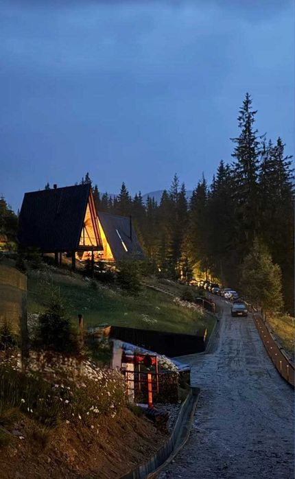1.12га. Оточена лісом