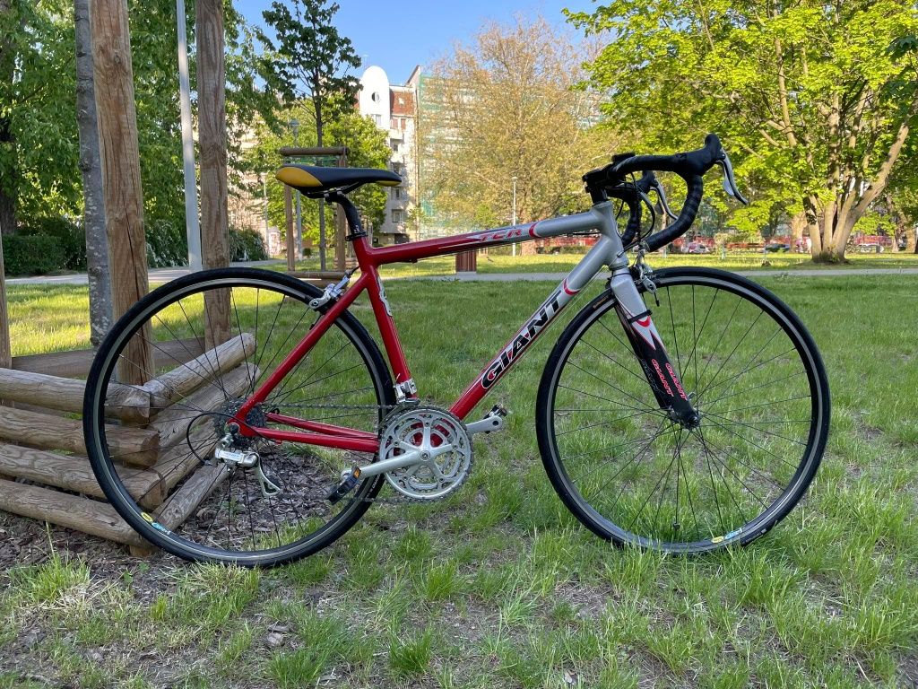 Szosza Giant TCR 50cm