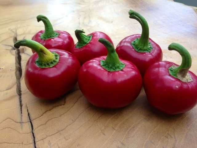 10 Sementes Pimenta Red Cherry Pepper