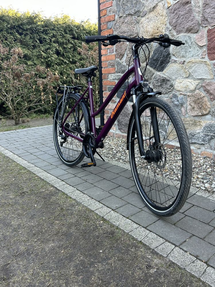 Rower trekkingowy Diamant Elan Delux