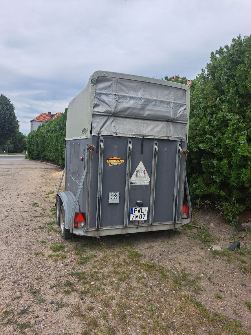 Przyczepa dla przewozu  zwierząt koni