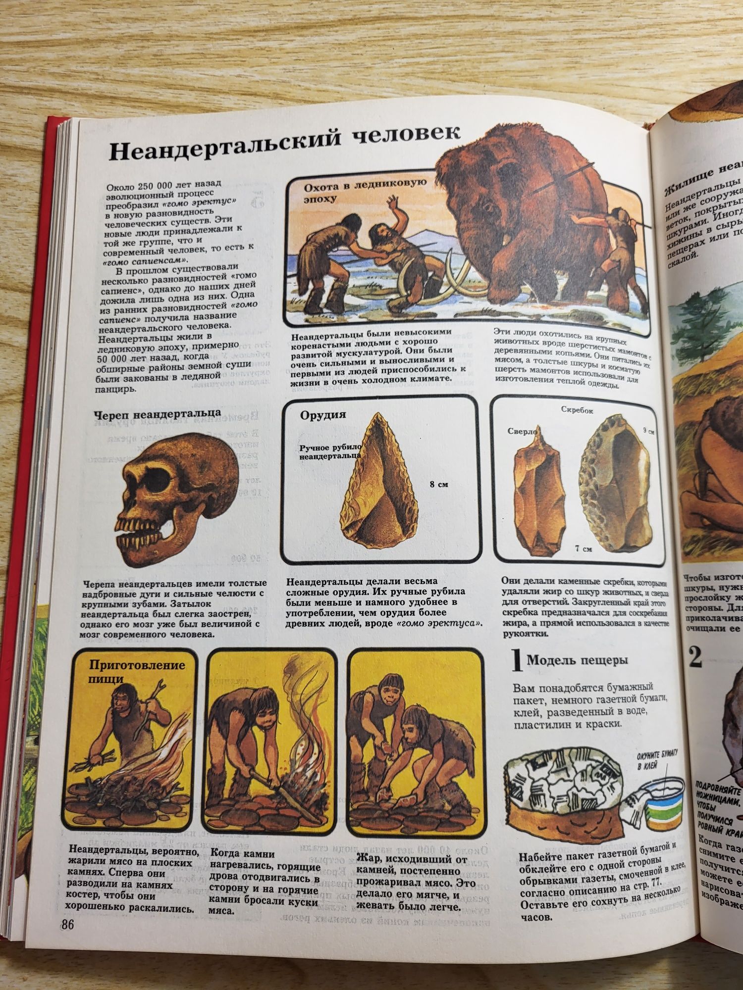 Детская энциклопедия "Доисторическая жизнь"