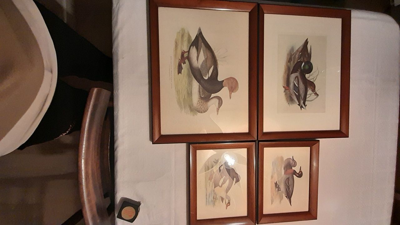 4 gravuras, 2 medidas 44x33 cms + 28x22 cms