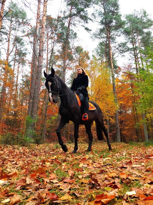 Do dzierżawy miły wałach koło Gdańska