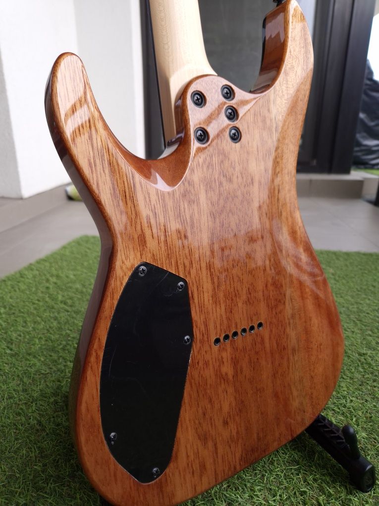 Schecter C6 PRO CB