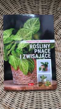 rośliny pnące i zwisające poradnik