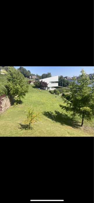 Limpeza de terrenos e manutenção de jardins