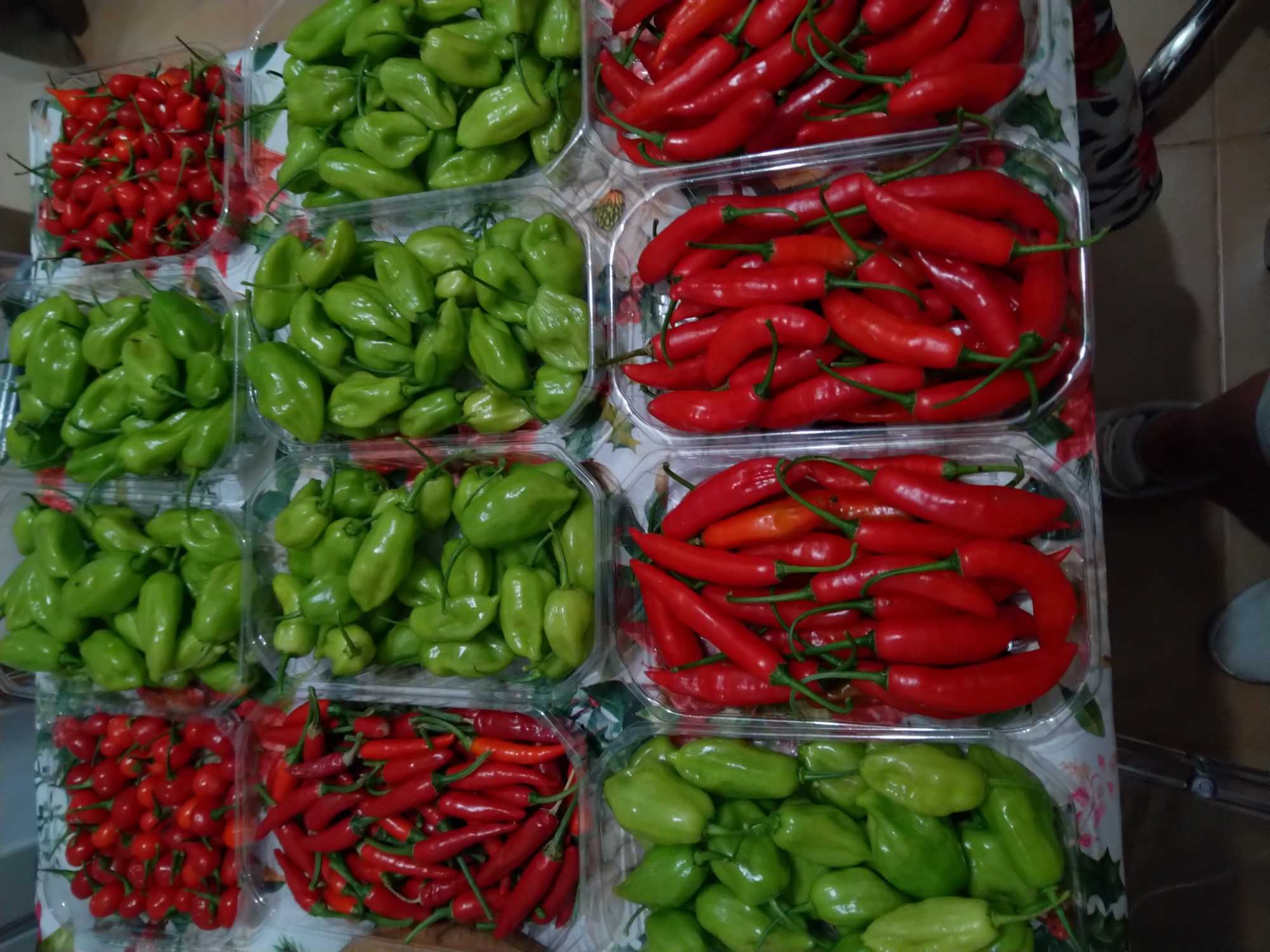 Pimenta várias variedades