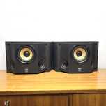 B&W DS 6 THX Dipole kolumny Surround Bowers & Wilkins 100W 8ohm