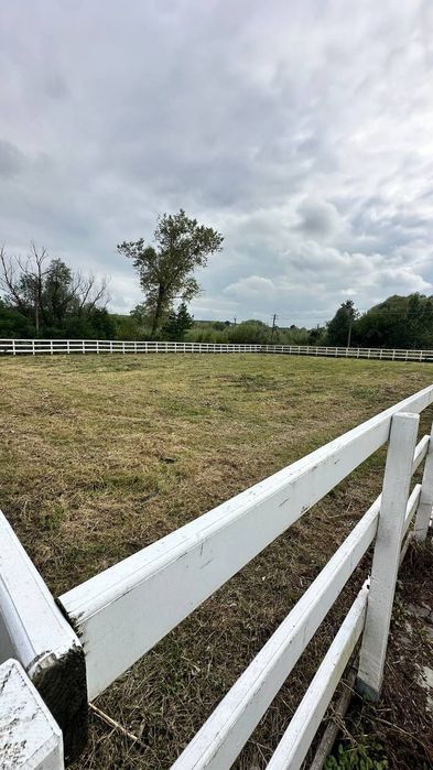 Продаж масштабного готового бізнесу