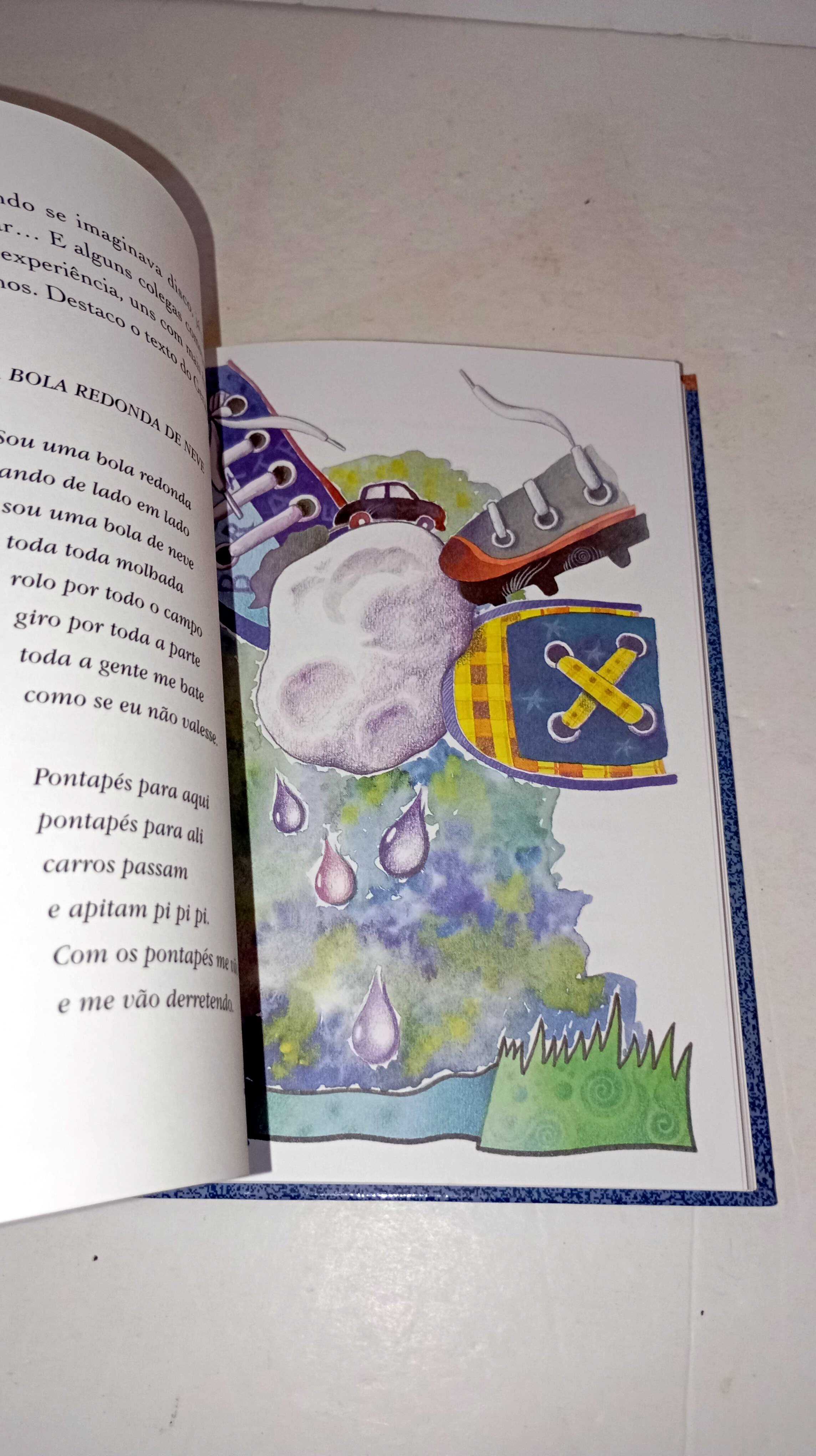O Poeta faz-se aos 10 anos