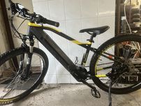 Rower elektryczny lovelec