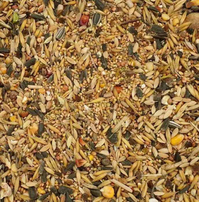 Karma Ziarna dla ptaków uniwersalna dla dzikich ptaków 1,10kg