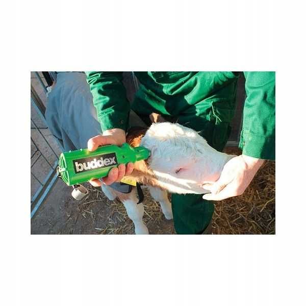 Dekornizator akumulatorowy BUDDEX dla bydła WYPALARKA rogów cieląt