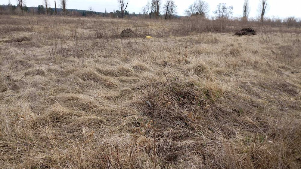 Здам в оренду земельну ділянку під Києвом