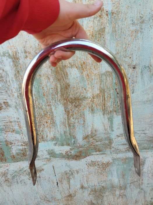 Задня дуга (дуга заднього щитка) Альфа 2008р.