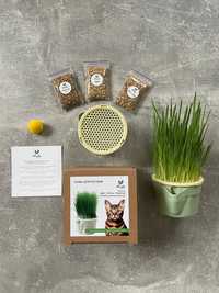 Набір для вирощування Трава для котиків з контейнером