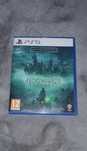 Hogwarts Legacy PS5 Deluxe Edition dziedzictwo hogwartu