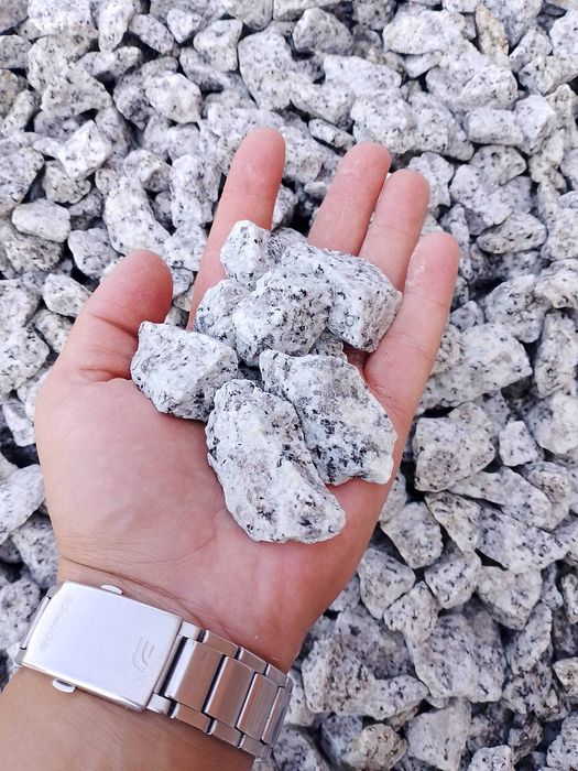 Dalmatyńczyk/ Bazalt/ Biała Marianna/ Kora Kamienna/Darex Kruszywa