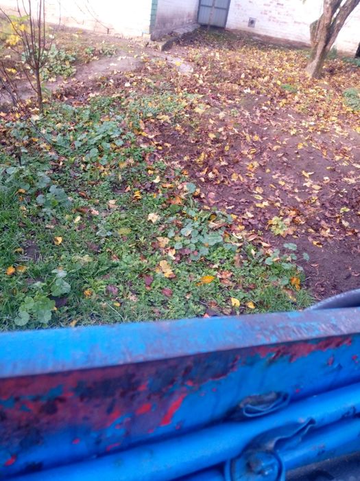 Продам Кун Борекс.