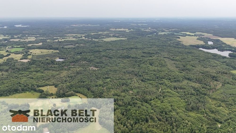 Działka inwestycyjna złoża torfu, las-13,8ha