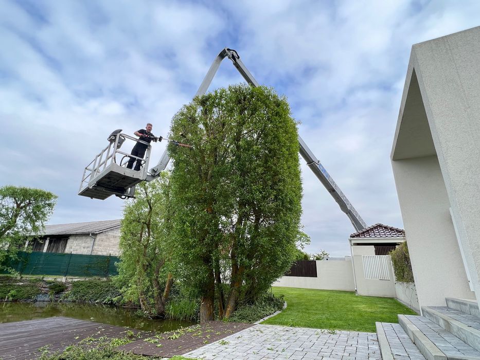 WYNAJEM podnośniki koszowe i nożycowe halowe i 4x4, 11-22m - Sępólno