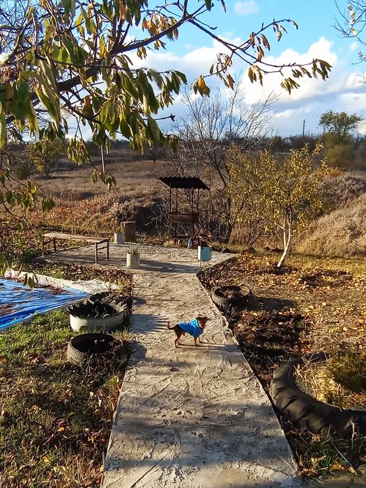 Продам дачу в УЮТ