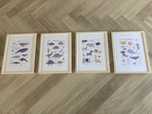 4 plakaty dzieciece poster store 30 x 40 safari, dinosaur