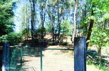 Terreno agrícola c/1,8 ha a 6 kms do centro de Vila Real