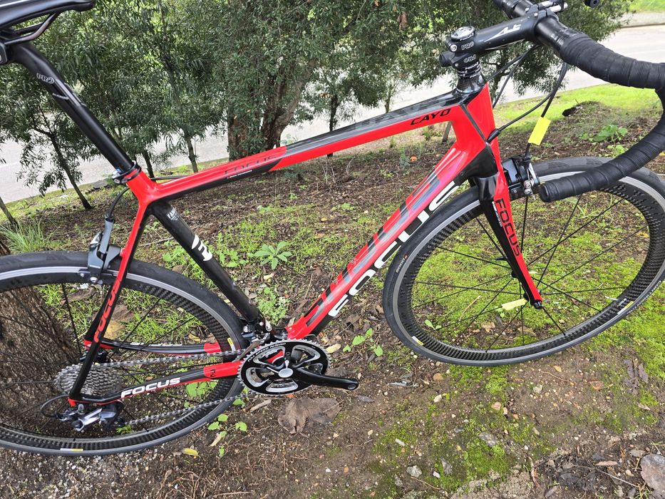Focus cayo L ultegra 11v e cosmic