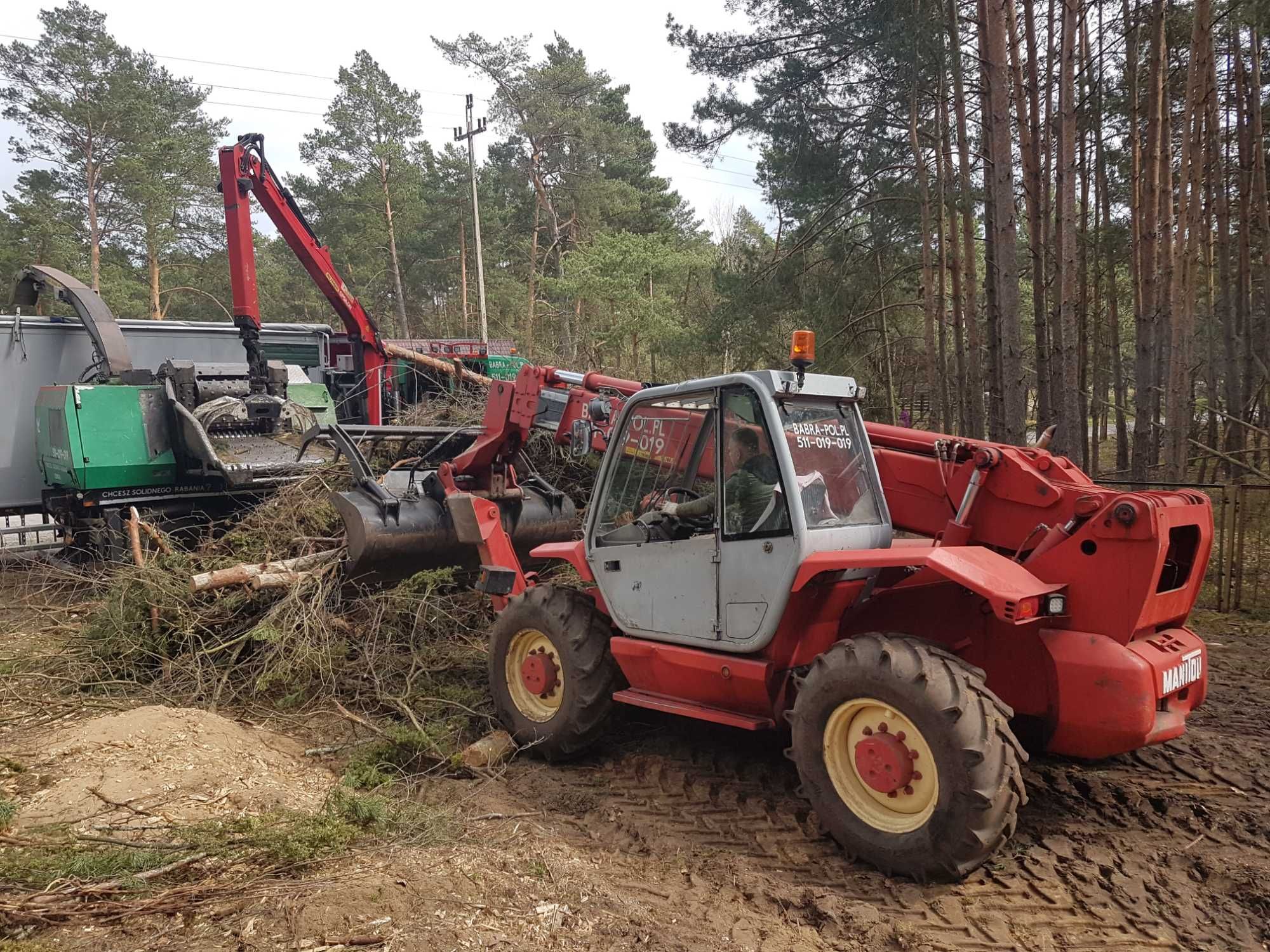 Wycinka samosiejek sadów drzew usługi zrywki Wynajem forwarder Ponsse