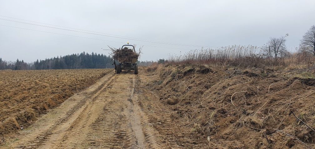 Wycinka Drzew Rekultywacja Karczowanie Sadów Samosiejek l