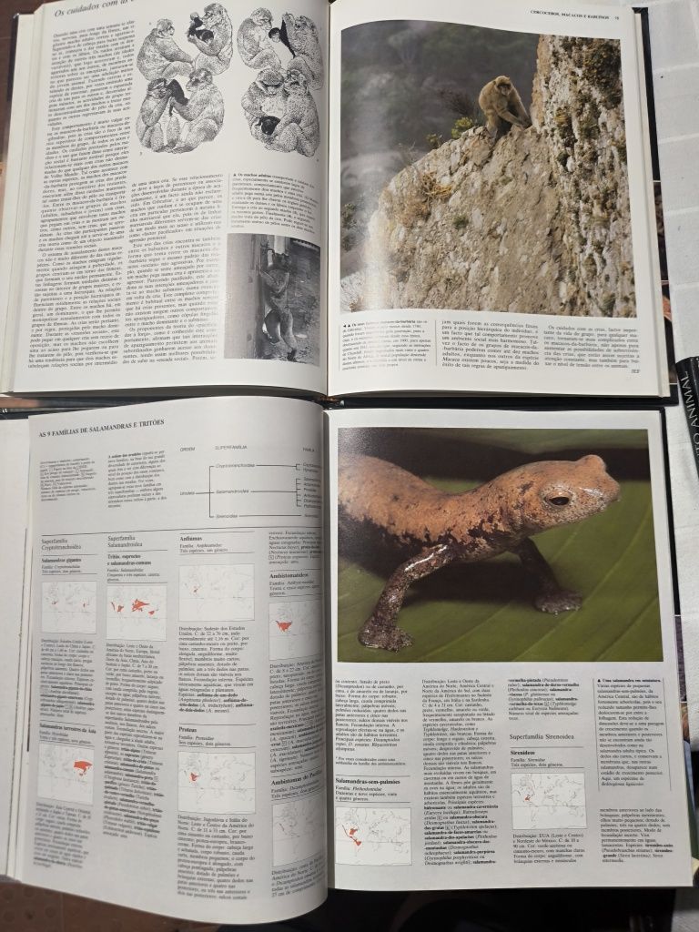 Enciclopédia Animais: 7 livros