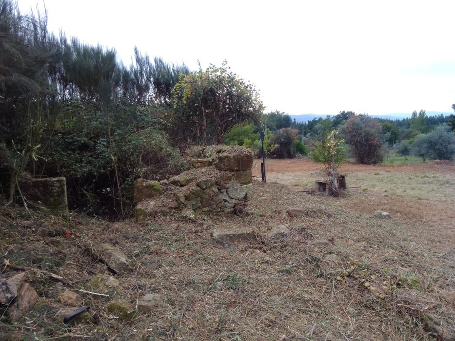 Quinta com casa para reconstrução