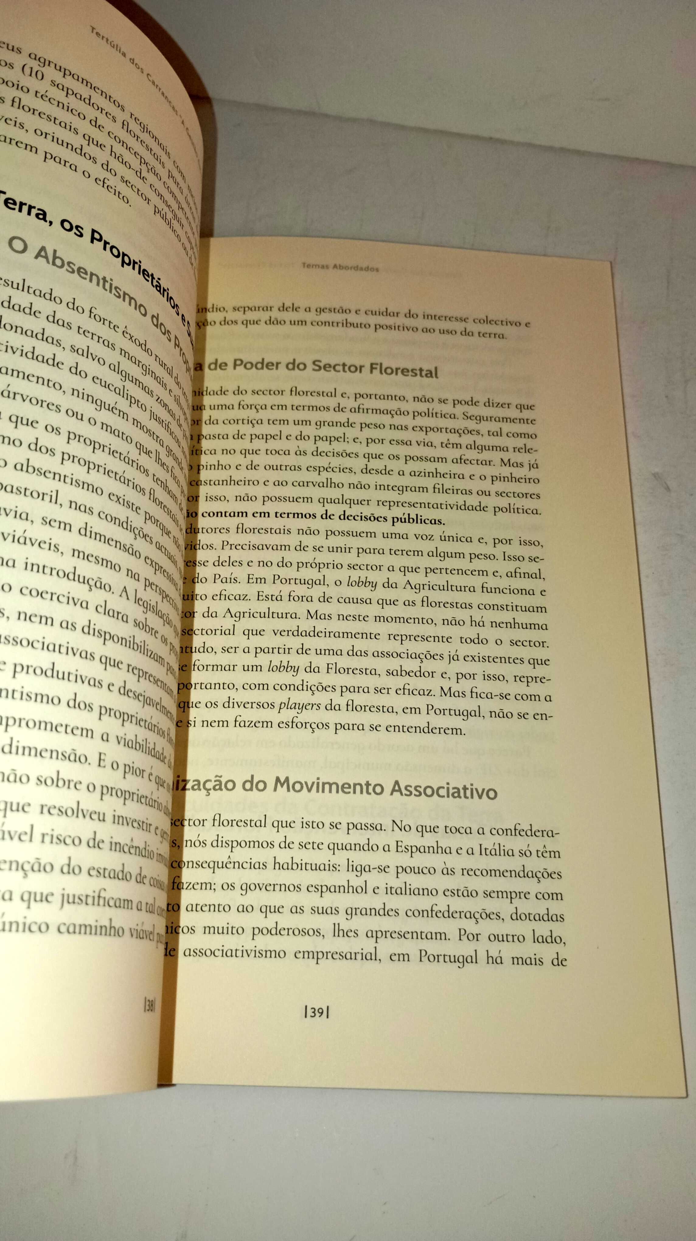 A Gestão das Terra Florestais