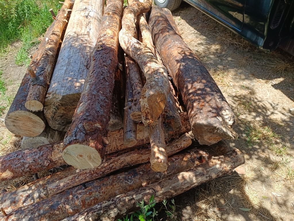 Vendo lenha com saca pinha oferta por m3