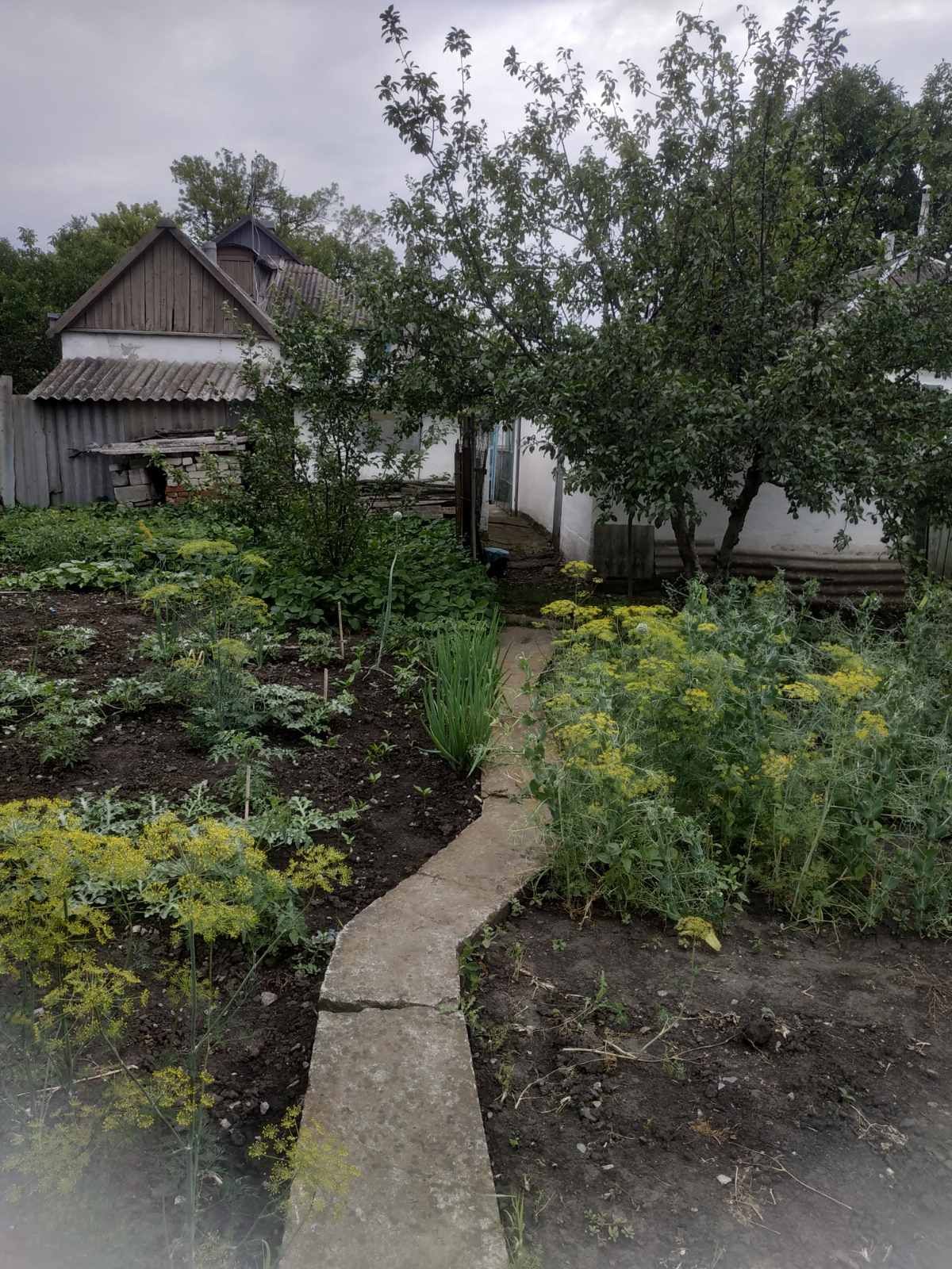 Очень срочно! Продам дом в пос. Краснопавловка