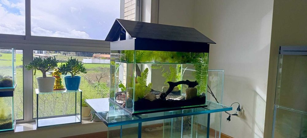 Vendemos aquário - gatário! Uma nova opção interessante!