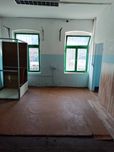Lokal na wynajem w Centrum Szczecina