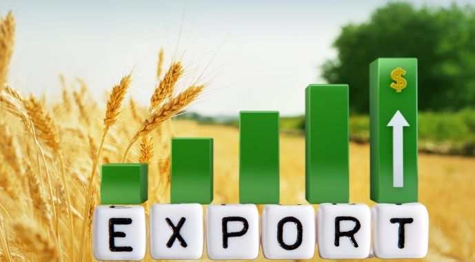 Прибутковість 8%/міс. Експорт української сої до Італії. Агросектор