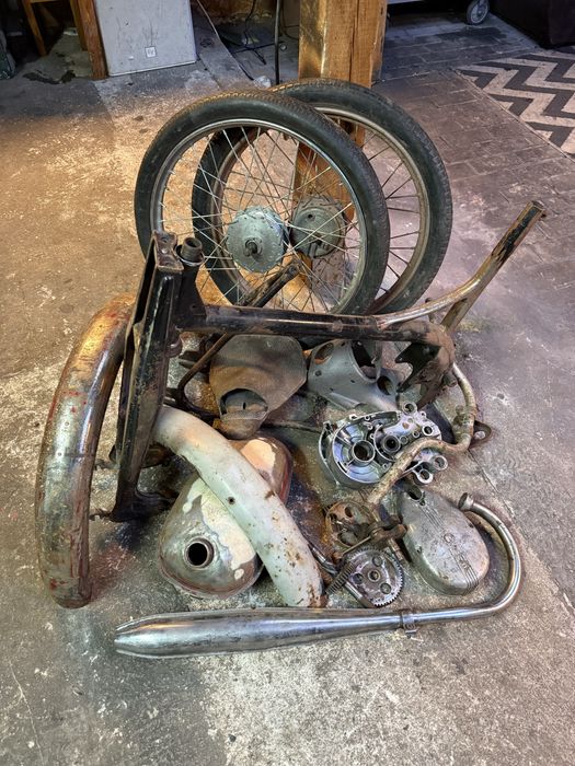 Komar sztywniak w cześciach mr 232