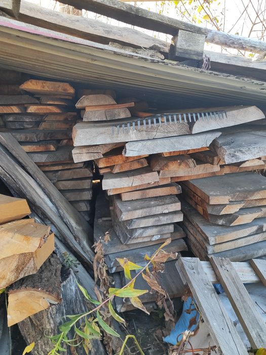 Bale dębowe i jesionowe