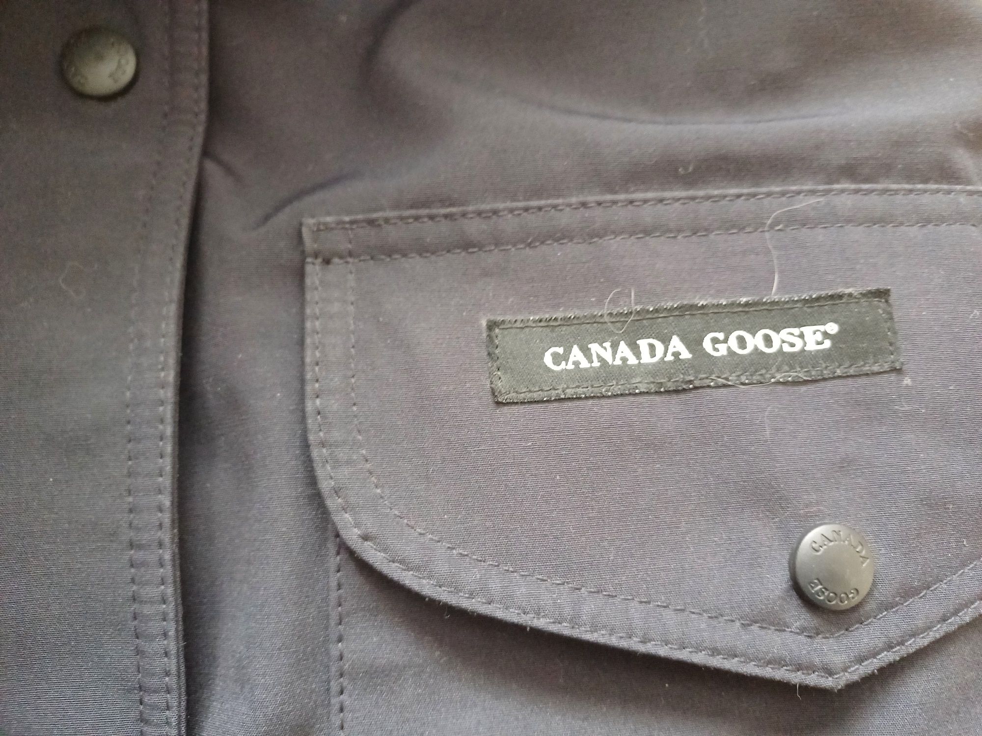 Puchówka Canada Goose L