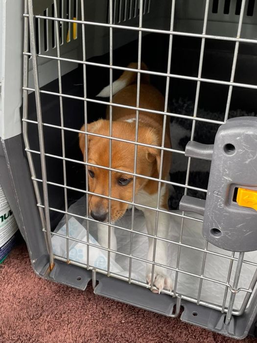 Перевозка  за границу. Европа. Скандинавия