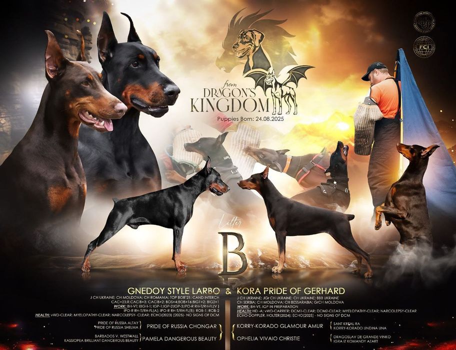 Доберман цуценята