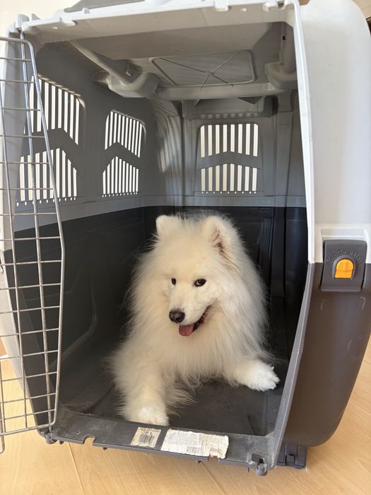 Transportadora Skudo Tamanho 7 – 105×73×76 cm – até 45 kg