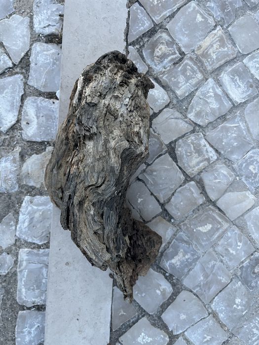 Tronco maciço para terrario ou aquario