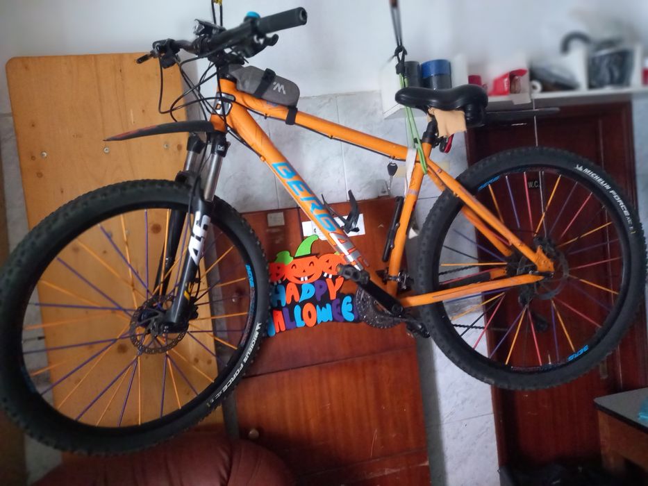 Bicicletas de varias marcas