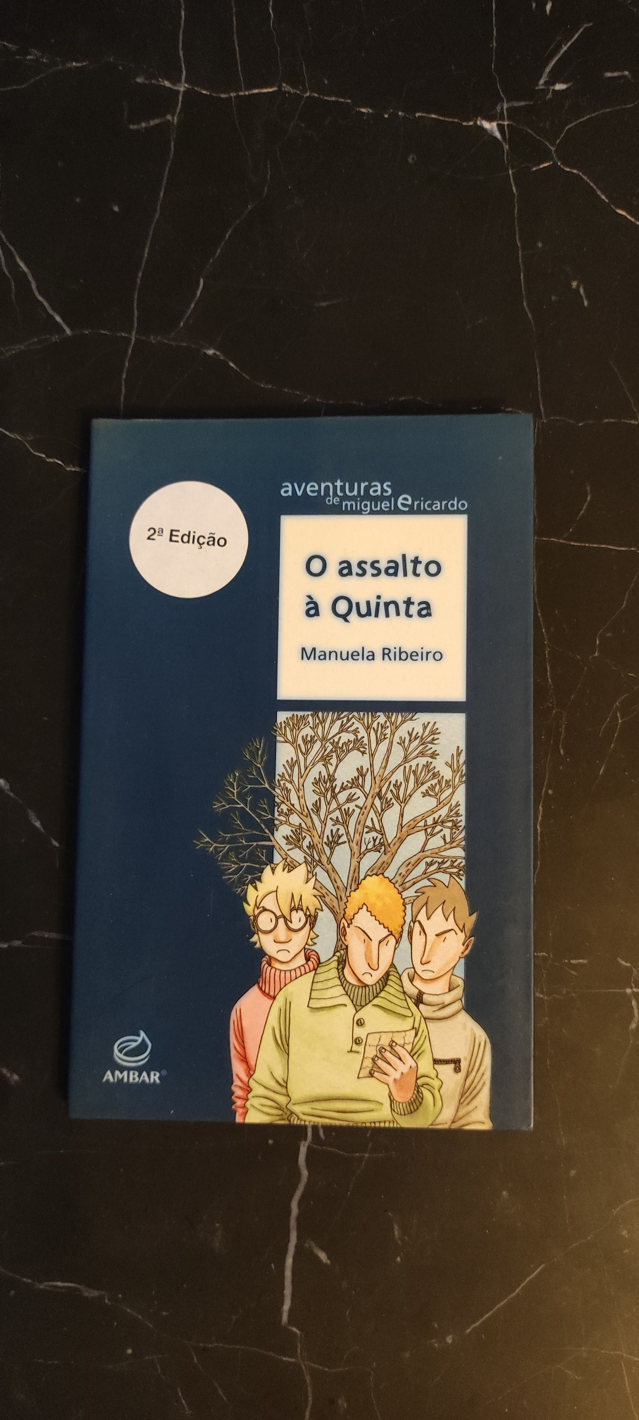 Aventuras de Miguel e Ricardo - O Assalto à Quinta